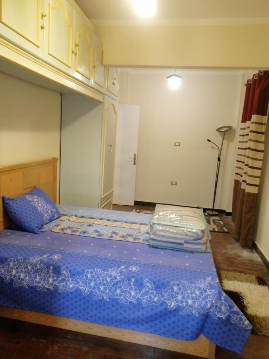 مفروشة وغير مفروشة Apartment *